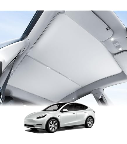 Amazon | テスラ TESLA モデルY MODELY 専用 ドアバイザー